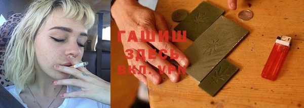 индика Аркадак
