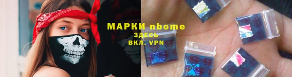 индика Аркадак