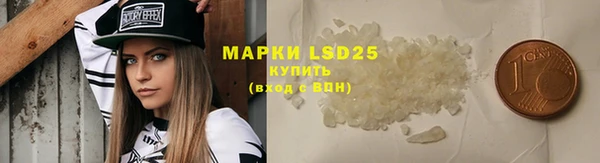 индика Аркадак
