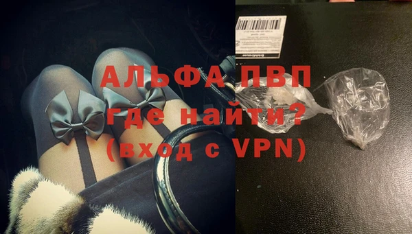 индика Аркадак