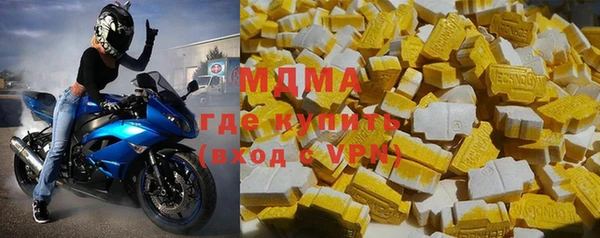 индика Аркадак
