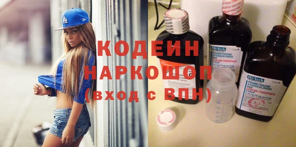 индика Аркадак