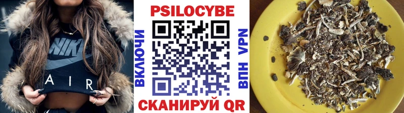Псилоцибиновые грибы прущие грибы  Асино 